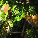 Martin Pescador Boutique Hotel